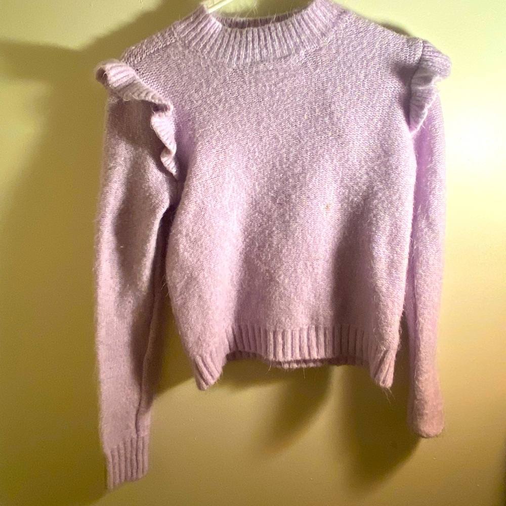 A purple fuzzy sweatshirt- Target (Wild Fable)